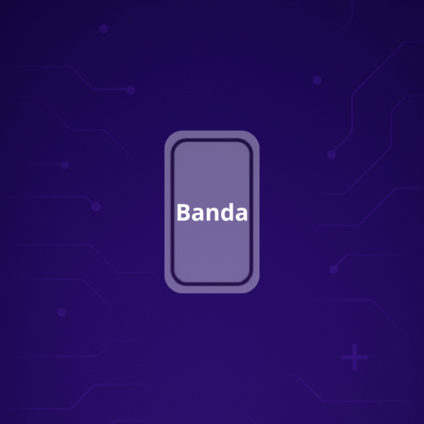 Xiaomi Bandas