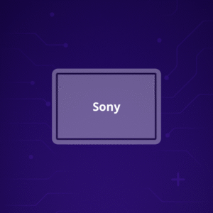 Camara Sony
