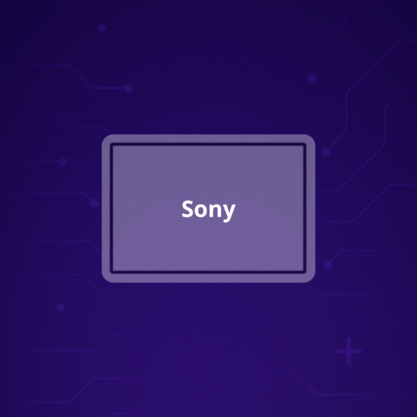 Camara Sony